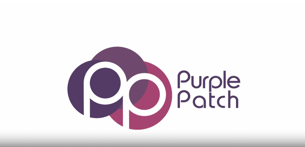 Purple Patch Surveys Australia Review: Is It Legit?